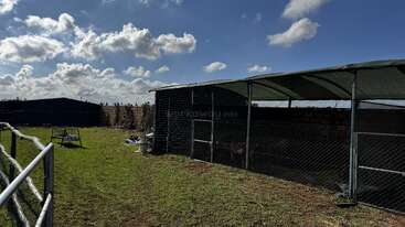 A fenced grassy yard with a covered structure for animals stands under a bright, partly cloudy sky. Shadows and sunlight create contrast across the peaceful scene.
