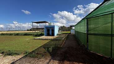 This image depicts a rural agricultural scene with a blue utility building, green grassy field, a greenhouse structure, and a partly cloudy sky under bright sunlight.