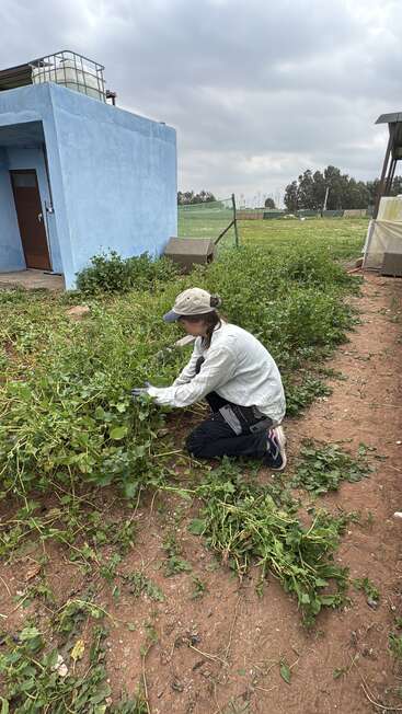 A person in outdoor work clothes and gloves kneels, tending plants in a garden near a blue building on a cloudy day. Greenery surrounds the area.