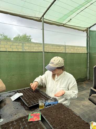 A person in a greenhouse wearing a cap and white shirt is planting seeds in soil trays, with gardening tools, seed packets, and a drink nearby.