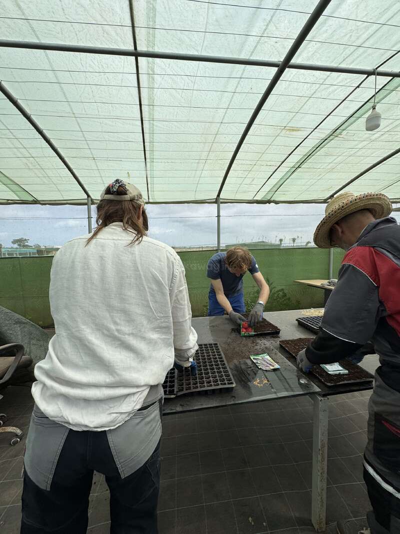 Three people are working together inside a greenhouse, planting seeds into soil trays on a large table. They are focused, wearing gloves, and surrounded by gardening equipment.