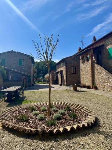A young tree in a circular, corrugated planter stands in a sunny stone courtyard. Rustic brick buildings with green shutters surround the peaceful outdoor setting.