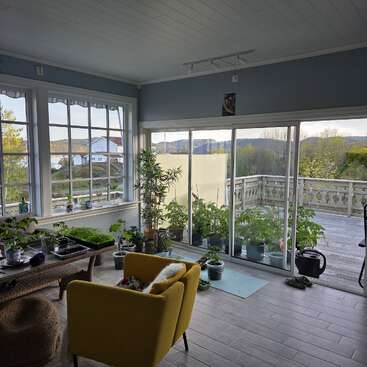 A cozy sunroom with large windows, a bright yellow chair, many potted plants, a wooden table, and a deck outside overlooking beautiful outdoor scenery.