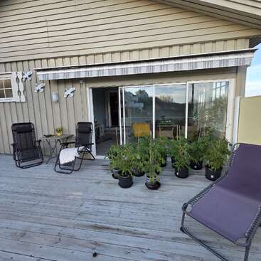 A cozy wooden deck features lounge chairs, a small table, potted plants, and sliding glass doors leading inside. Decorative birds are mounted on the house wall.