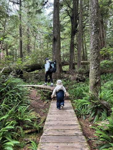 Uma criança e um adulto caminham por uma trilha de madeira em uma floresta verde e exuberante, repleta de samambaias e árvores altas, desfrutando juntos da natureza e da aventura.
