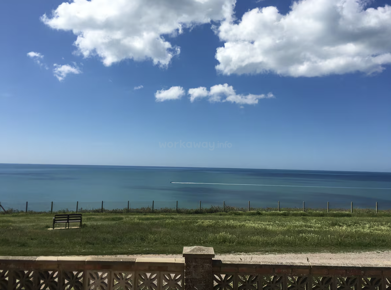 A serene coastal scene with vivid blue sky, scattered clouds, calm turquoise water, lush green grass, a bench, and a distant boat trail across the horizon.
