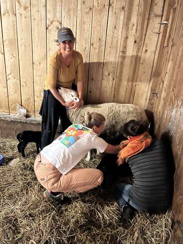 Drei Frauen helfen einem Schaf mit neugeborenen Lämmern in einer gemütlichen Holzscheune. Lächelnd kümmern sie sich behutsam um die Tiere, umgeben von Stroh, Wärme und Teamwork.