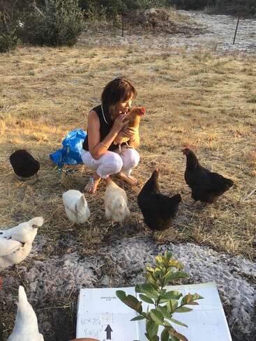 A woman crouches in a field, surrounded by chickens, holding one close to her chest with a blue bag nearby.