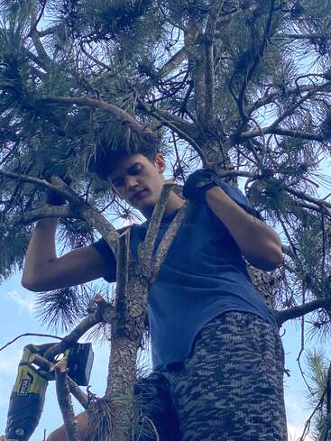 The image depicts a young man standing in a tree, wearing a blue shirt and camouflage pants, with a Ryobi power tool in his hand, surrounded by branches and leaves.