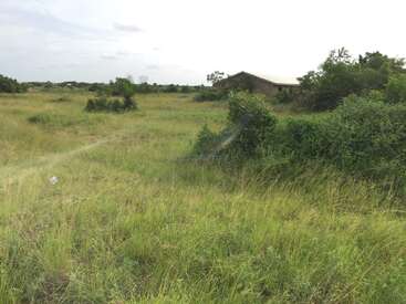 A imagem mostra um campo gramado sereno com uma casa ao fundo, cercada por árvores e arbustos, sob um céu nublado.