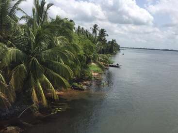 A imagem retrata uma serena margem de rio tropical, com palmeiras e vegetação exuberante, com um pequeno barco flutuando na água calma sob um céu nublado.
