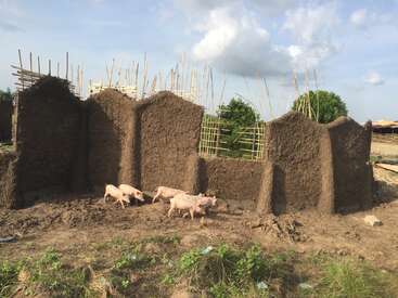 A imagem mostra um prédio de barro parcialmente construído com um telhado inclinado, com uma pequena janela e três porcos em primeiro plano, em um céu azul com nuvens.