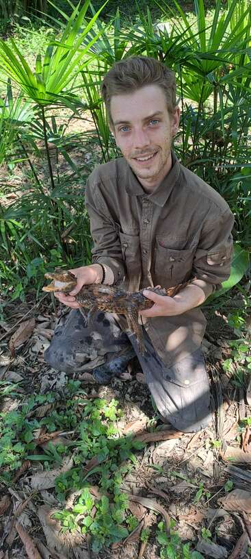 A man wearing a brown shirt kneels on the ground in a forest, smiling while holding a small crocodile with its mouth open among green plants.