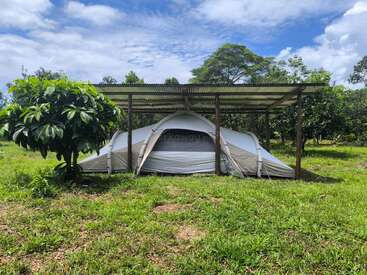 A white camping tent sits under a simple metal-roofed shelter beside a leafy tree, surrounded by lush green grass and trees on a partly cloudy day.