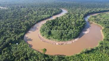 A lush green forest surrounds a winding, muddy river forming a pronounced meander. Dense vegetation covers the landscape, showcasing the vibrant, untouched beauty of nature.