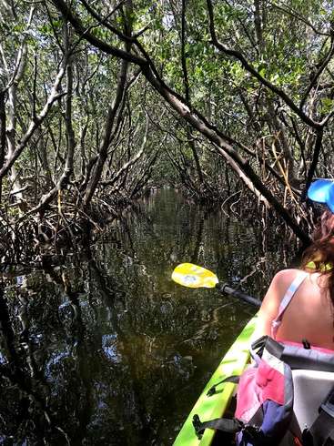 The image depicts a woman kayaking through a serene mangrove forest, surrounded by lush greenery and calm waters, with a yellow paddle resting on the water\'s surface.