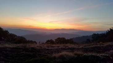Das Bild zeigt eine ruhige Landschaft mit sanften Hügeln und einem klaren Himmel, mit einem Gewässer und einer markanten Baumreihe, die ein Gefühl von natürlicher Schönheit und Ruhe hervorruft.