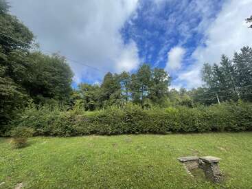 A grassy yard bordered by green hedges and tall trees under a partly cloudy blue sky, with overhead power lines and a small stone structure visible.