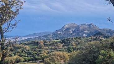 Una pintoresca montaña domina el fondo, rodeada de frondosos bosques verdes y árboles dispersos. El paisaje es sereno, con una suave luz solar que ilumina las colinas onduladas y el paisaje lejano.