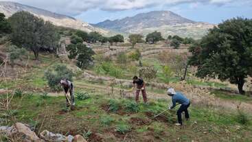 Tres personas trabajan juntas en una granja situada en una ladera, cavando y cuidando los cultivos. El paisaje está formado por colinas onduladas, árboles dispersos y montañas al fondo.