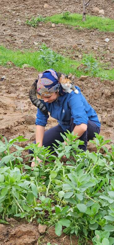 Una mujer está arrodillada en un jardín cuidando las plantas, mientras un gato, muy relajado, descansa cómodamente sobre sus hombros. El entorno es frondoso, verde y tranquilo.