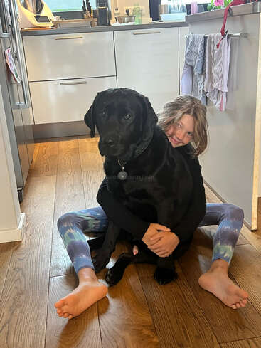 Un jeune enfant est assis sur le sol en bois d'une cuisine, serrant dans ses bras un grand labrador noir. Tous deux semblent satisfaits, entourés d'une cuisine confortable et lumineuse.