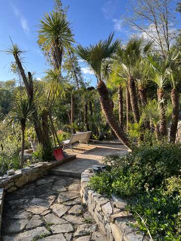 La imagen representa una serena escena de jardín con palmeras, un camino de piedra y un banco blanco, sobre un cielo azul despejado.