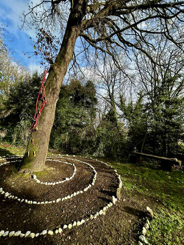 Un gran árbol con ramas desnudas se alza en un jardín. Unos senderos en espiral delimitados con piedras blancas lo rodean. La luz del sol se filtra a través de él, creando una belleza serena y natural.