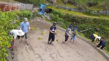 Um grupo de pessoas está plantando mudas de arroz em um campo de arroz lamacento cercado por uma vegetação exuberante, trabalhando juntas à luz do dia, usando chapéus e roupas casuais.