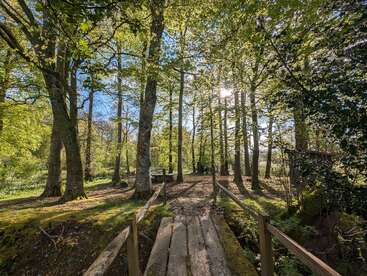 L'image représente une scène de forêt sereine, avec un pont en bois et un chemin de terre, entourés d'arbres et de verdure luxuriante, avec le soleil qui brille à travers les feuilles.