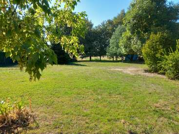A sunlit garden with green grass, trees, and plants. Shadows create patterns on the lawn. The scene feels peaceful, natural, and inviting on a bright day.