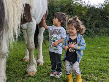 Duas crianças estão ao lado de um cavalo branco com manchas marrons, acariciando-o em um campo gramado com arbustos ao fundo em um dia ensolarado.