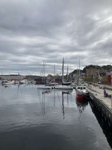 A peaceful marina with various boats and yachts docked. Cloudy sky above, calm reflective water below, a person walking along the dock, and buildings in the background.