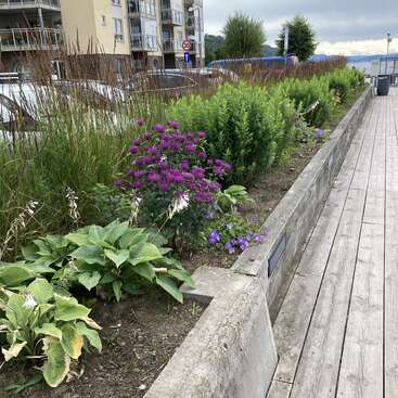 Das Bild zeigt eine ruhige Stadtszene mit einem hölzernen Gehweg, einem bunten Blumenbeet und einer Reihe von Gebäuden im Hintergrund an einem bewölkten Tag.