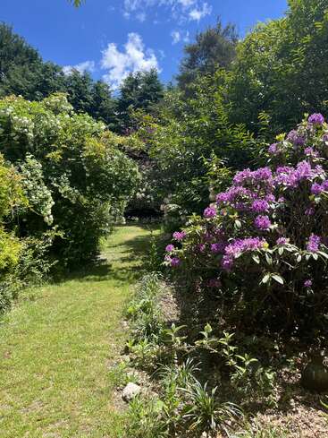 A sunlit garden path winds through lush greenery, vibrant purple flowers, and blossoming bushes, beneath a bright blue sky with scattered fluffy clouds above.