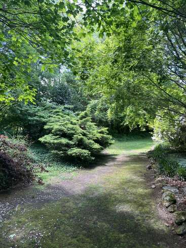 A serene garden scene with lush green trees, a winding earthy path, vibrant foliage, and dappled sunlight creating a peaceful, inviting, and natural atmosphere throughout.