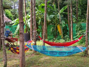 La imagen muestra un entorno sereno al aire libre, con hamacas suspendidas entre los árboles, rodeadas de exuberante vegetación y una valla de madera, que transmite una sensación de tranquilidad y relajación.