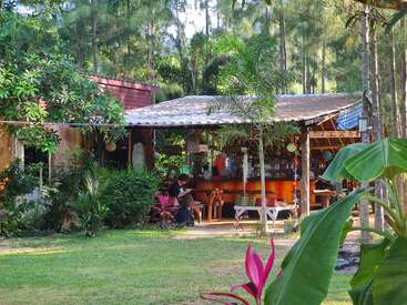 La imagen muestra un entorno sereno al aire libre con una zona de bar cubierta, rodeada de exuberante vegetación y plantas vibrantes, que evocan un ambiente tropical.