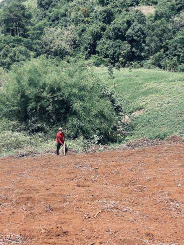 A man stands in a field, holding a shovel, with a forested hillside behind him, wearing a red shirt and dark pants, in a rural setting.