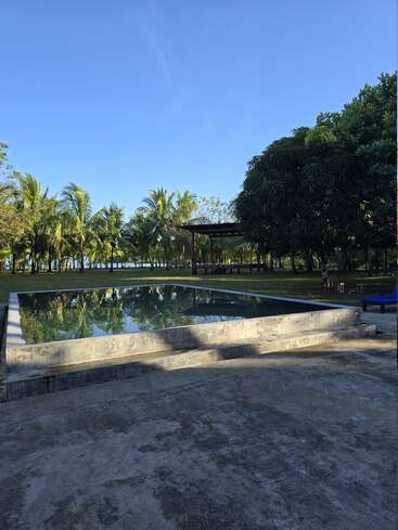 A serene outdoor pool reflects palm trees and blue sky, surrounded by lush green trees. Far in the background, you can spot water and sunny tranquility.