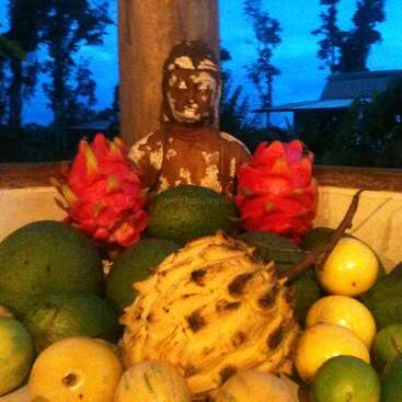 La imagen representa un sereno escenario al aire libre con una estatua de Buda rodeada de un surtido de frutas tropicales, como limones, limas y fruta del dragón.