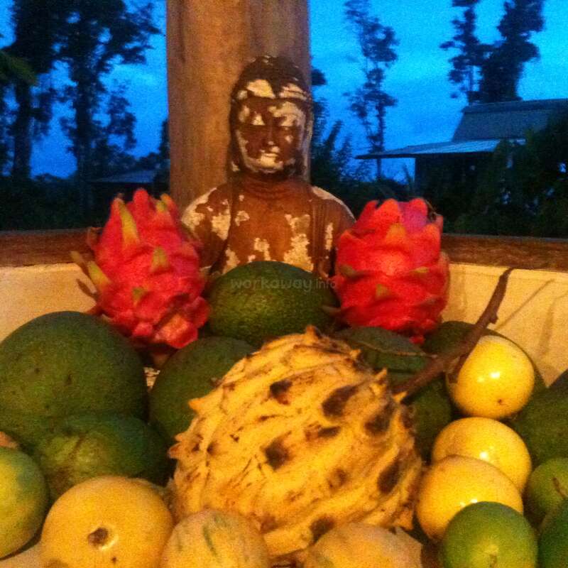 La imagen representa un sereno escenario al aire libre con una estatua de Buda rodeada de un surtido de frutas tropicales, como limones, limas y fruta del dragón.