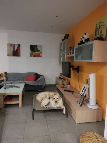 The image depicts a cozy living room with a dog on a cot, a TV, and a couch, featuring a mix of modern and traditional decor elements.