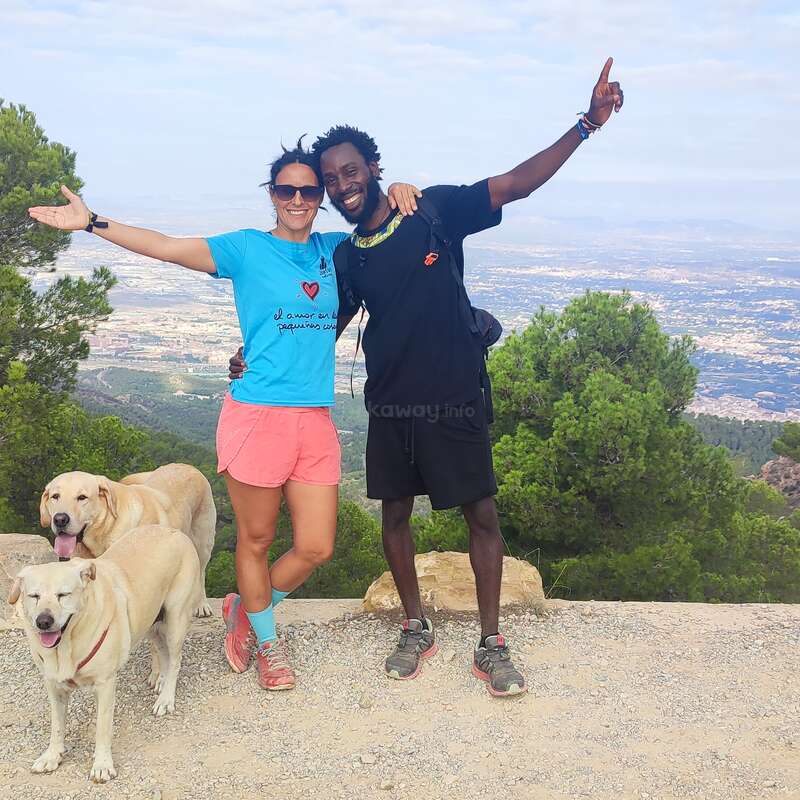 The image depicts a joyful couple standing on a mountain top, with their arms around each other, surrounded by two dogs and a breathtaking view of the city below.