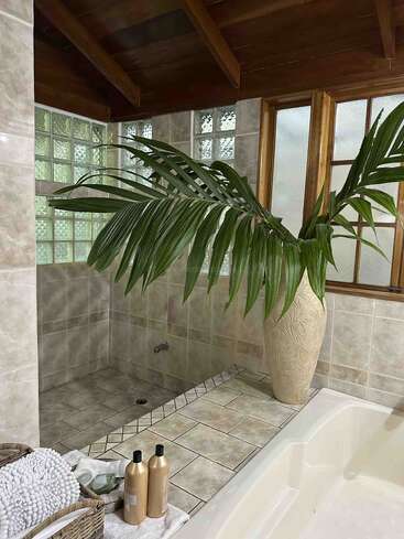 This image shows a cozy, spa-like bathroom with tiled walls and floor, a large leafy plant in a decorative vase, wooden ceiling, and bath essentials displayed.