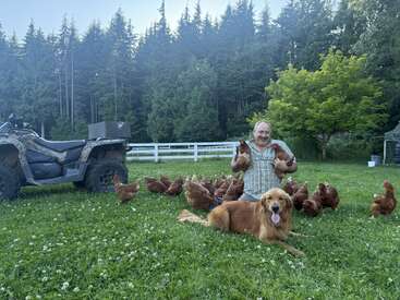 A man kneels on grass holding two chickens, surrounded by more chickens. A happy golden retriever lies in front, near an ATV, with a forest backdrop.