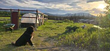 Uma cena rural serena ao pôr do sol apresenta um cachorro preto sentado na grama, uma estufa, um carrinho de mão, vegetação exuberante, montanhas distantes e um céu pitoresco.