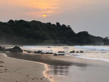 A serene beach scene at sunset, with golden sunlight reflecting on wet sand, gentle waves, scattered rocks, and lush green trees along the distant shoreline. Peaceful atmosphere.