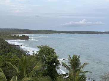 This image shows a tranquil coastal scene with lush green trees, palm trees, waves breaking on the shoreline, and a distant hilly landscape under a cloudy sky.