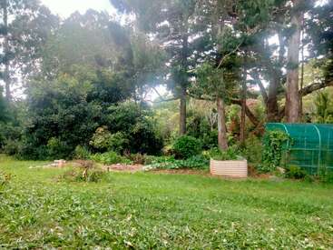Un exuberante y verde jardín trasero con altos árboles, densos arbustos, parterres elevados y una estructura de invernadero cubierta. El suelo está cubierto de hierba fresca.